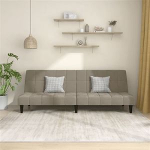 VidaXL Canapé-lit à 2 Places, Lit de Jour avec Dossier, Lit d'Invité avec Pieds, Meuble de Chambre Salon, Moderne, Gris Clair Velours