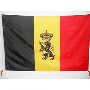 AZ FLAG Drapeau Belgique avec Lion 90x60cm - Drapeau Belge Armoiries - Gouvernement 60 x 90 cm Fourreau pour hampe