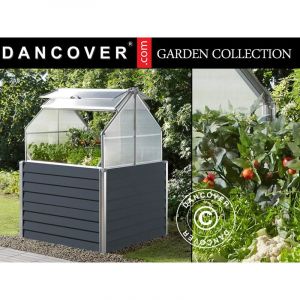 Image de Mini serre 1,2x1,2x1,69m, 1,44m&sup2;, Anthracite