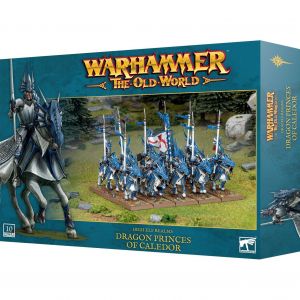 Games Workshop Figurine Warhammer ToW - Royaumes des Hauts Elfes : Princes Dragons de Caledor (x10)