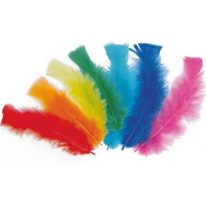 Le géant de la fête Plumes multicolores