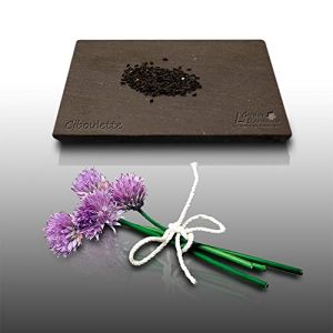 150 graines Aromatiques - CIBOULETTE - Allium schoenoprasum - Go&ucirc;t subtil