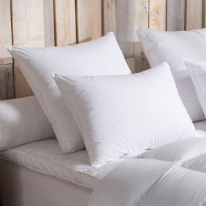 Dodo Oreiller 90% Duvet d'Oie MOELLEUX - 40/60 - Blanc