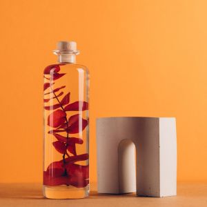 Th&eacute;ophile Berthon Plante immerg&eacute;e Eucalyptus rouge H23