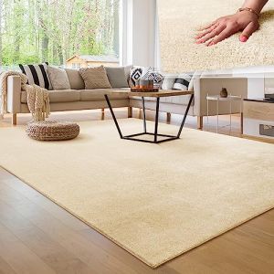 Paco Home - Tapis de salon Unicolore Lavable Pile courte et douce Beige, 200 cm rond