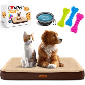 Image de LovPet Lit orthop&eacute;dique pour chien Coussin pour chien Corbeille pour chien Cookie Ecuelle incluse + 3X os &agrave; m&acirc;cher Canap&eacute; pour chien petit Moyen &