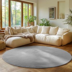 Tapis SIMPEX Rond 80 cm Poils Courts Lavable Doucement Antid&eacute;rapant et Design Moderne pour Salon Chambre Argent