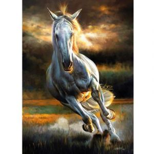 KS Games Puzzle 500 pièces : Tempête Blanche