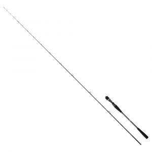 Image de Daiwa Canne Casting SALTIST TENYA - 131, 244, 2, 12, 126, 15-50