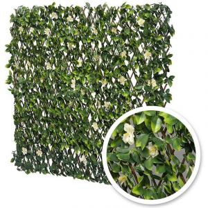 Image de Treillis extensible Jasmin Fleuris 2 m (2 treillis de1 x 2 m)