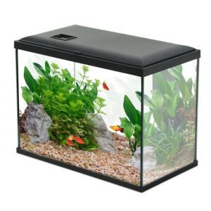 Zolux Kit aquarium 24 litres Initio 40