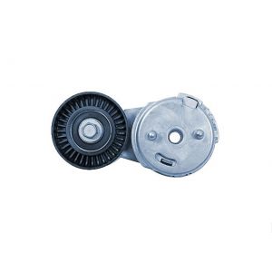 Ina Galet tendeur (courroie d'accessoire) BMW S&eacute;rie 5 (534 0252 10)