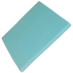 Philips Filtre Mousse (432200493811) Aspirateur