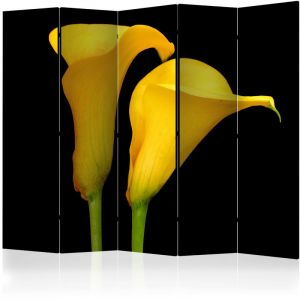 Artgeist Paravent 5 Volets "Two Yellow Calla Flowers" 172x225cm