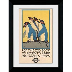 GB eye Photographie encadr&eacute;e Zoo 50x70cm