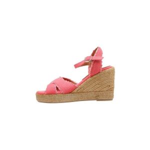 SENSES & SHOES - VERA 36 Rose