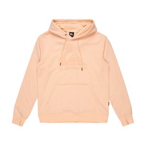Image de Quiksilver Comp - Sweat &agrave; capuche pour Homme Rose - Taille S