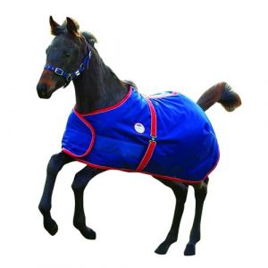 Weatherbeeta Couverture - Cheval (137 cm) (Bleu marine / rouge / blanc) - UTWB1213