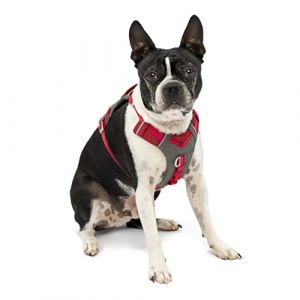 Image de Kurgo Harnais pour Chiens Journey Air, pour la randonnée, courir et marcher tous les jours, réfléchissant – Rouge/gris - Taille XS