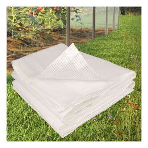 Image de ProBache "B&acirc;che Arm&eacute;e transparente 6x10m renforc&eacute;e"