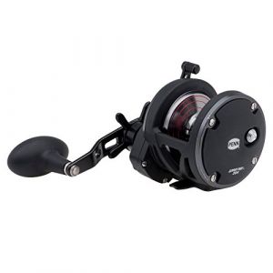Penn Warfare Stard Drag Moulinet à Tambour Tournant pour la Pêche Lourde en Mer, Pêche au Jig, Pêche Sur Épave, Lieu, Pagre, denti, Sériole, Requin, 20N