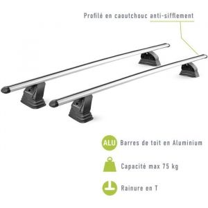 Green Valley Barres de toit pour PEUGEOT: 207, 207+, 407 & CITROËN: DS3, C3, C5 & DS: DS3 (Ref: 162005)