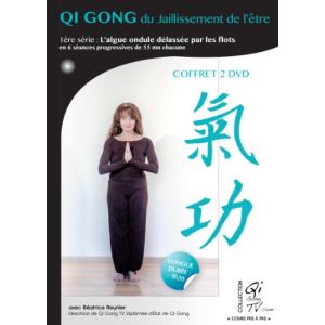 Image de Qi Gong : le jaillissement de l'être - Première série