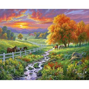 Figured'Art Peinture par Numéro Adulte avec Cadre Prairie ensoleillée - Activité Manuelle Kit de Loisir Créatif DIY Numéro d'Art Complet - 40x50cm toile tendue sur châssis