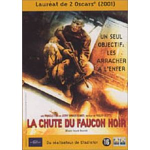 La Chute du faucon noir