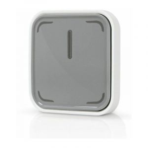 Ledvance Ampoule SMAR+ ZigBee Switch - Interrupteur connect&eacute;