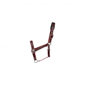 Licol pour cheval Catago