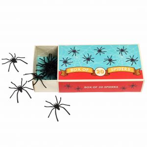 Jouets surprises araignées Rex London (x20)