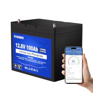 DCHOUSE Batterie au lithium LiFePO4 12V 100Ah, protection basse temperature, jusqu'a 15000 cycles, 100A BMS, parfaite pour les moteu
