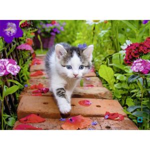 Image de Nathan Puzzle Chaton au Jardin 500 pièces, 87185