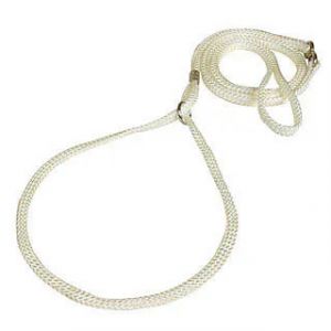 Difac Laisse presentation pour chien