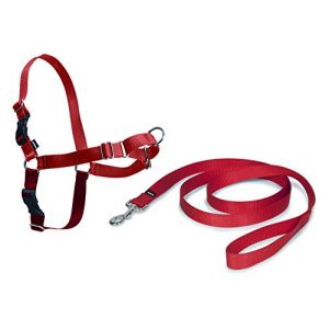 Premier Harnais pour chien EasyWalk taille S