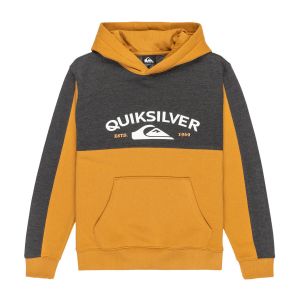 Quiksilver Sweatshirt à capuche garçon knowledge area