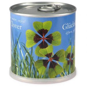 Tr&egrave;fle &agrave; 4 feuilles &agrave; faire pousser en boite