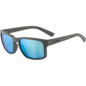 Image de Alpina Kosmic Lunettes, gris Lunettes