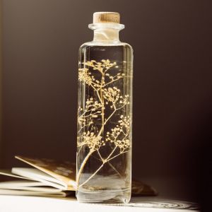 Th&eacute;ophile Berthon Plante immerg&eacute;e Gypsophile or H21