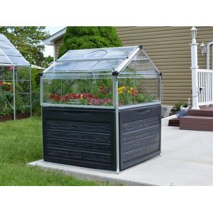 Dancover Mini serre PLANT INN, 1,18x1,18x1,48m, Clair Transparent/Anthracite