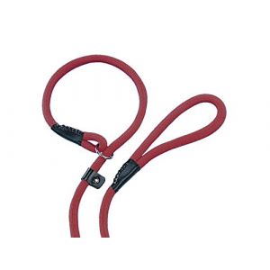 Nobby Fun Uni Laisse pour Chien Bordeaux 170 cm/13 mm