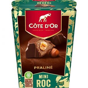 Image de Côte d'Or Mini Roc Praliné 279g