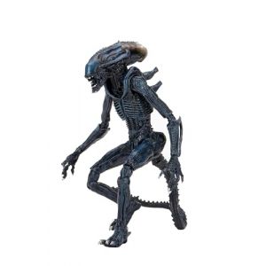 Neca Reel Toys Aliens Arachnoid Alien 22,9 cm Figurine 2021