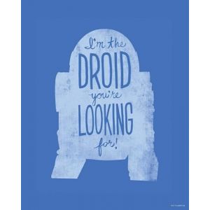 Komar Affiche Art Star Wars Silhouette Quotes R2D2 40x50cm,
