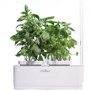 Image de Odyseed Jardin d'intérieur Eden