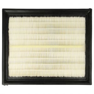Vhbw Filtre d'aspirateur compatible avec Lidl Parkside PPWD 30 A1 aspirateur - Filtre principal
