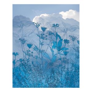 Komar Photo murale intissée de - Blue Sky - Taille: 200 x 250 cm