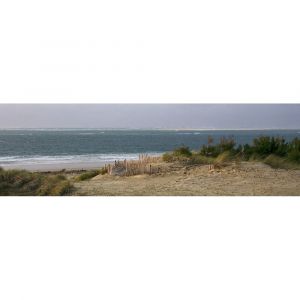 Ceanothe Toile 30X97 Plage Arcachon