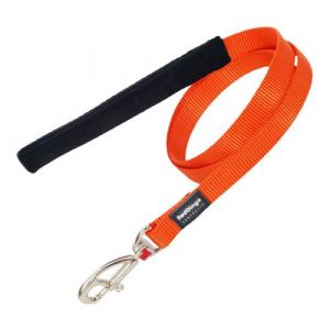 Laisse pour Chien 1 2 120 cm Orange